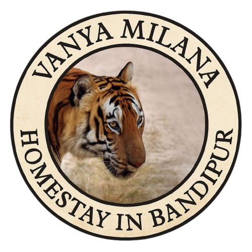 Vanya Milana Logo